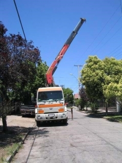 Arriendo Camión Pluma FORD Cargo 1731